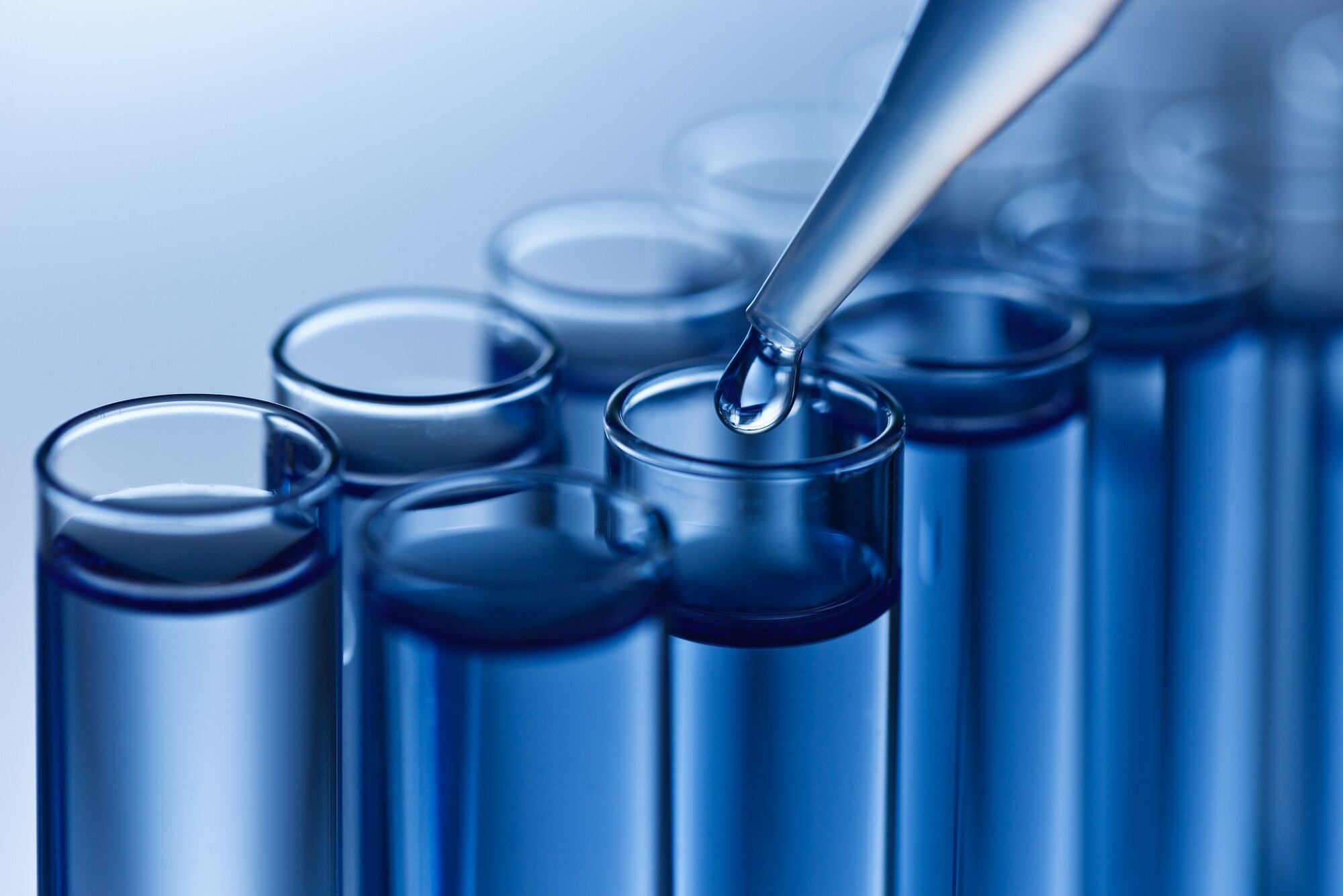 SCC calls for abstract submission for annual meeting