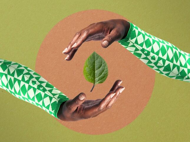 Packaging, formats, formulation: Sustainability articles to revisit this week