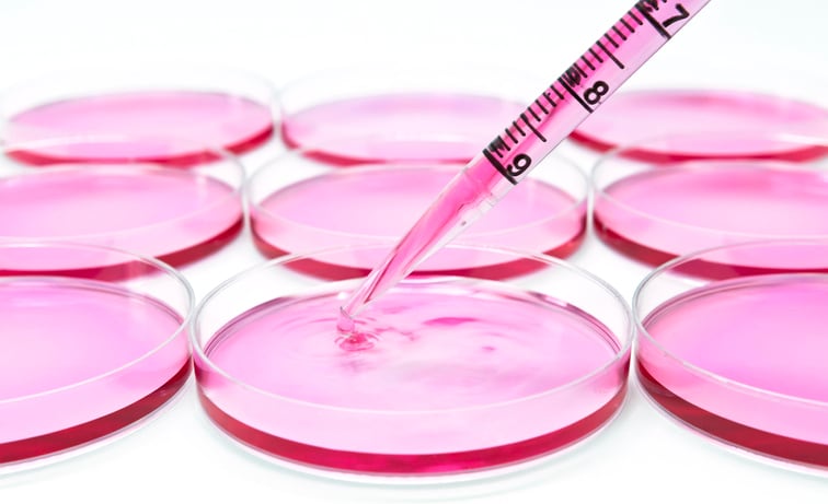 ‘Unique’ for cosmetics: Animal-free safety assessment New Science Programme to launch in 2022