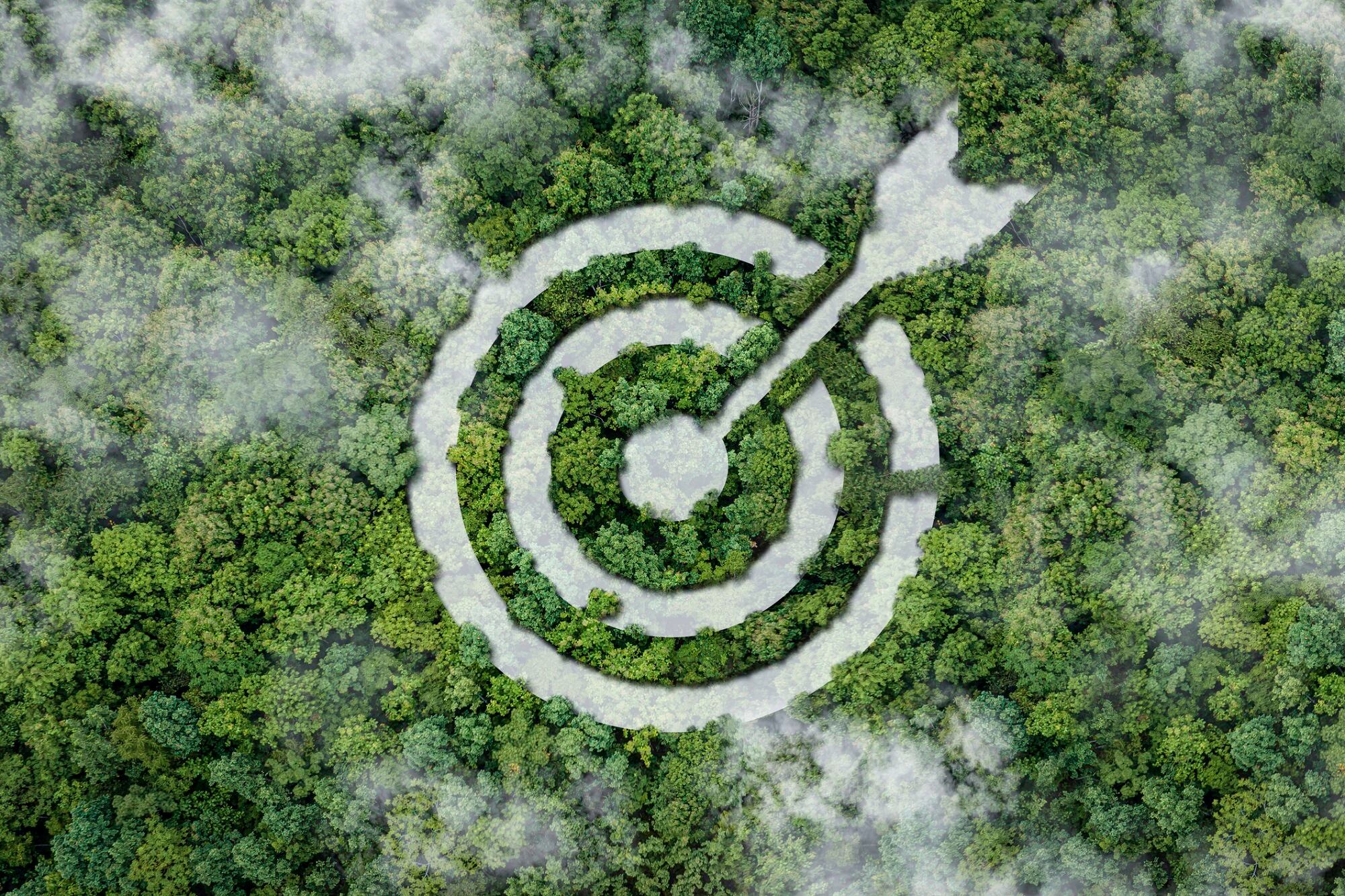 Senior Sustainability Strategist discusses mitigating raw material risks in sustainable cosmetics product manufacturing