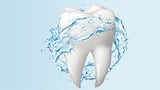 The positive impact of erythritol on oral biofilm