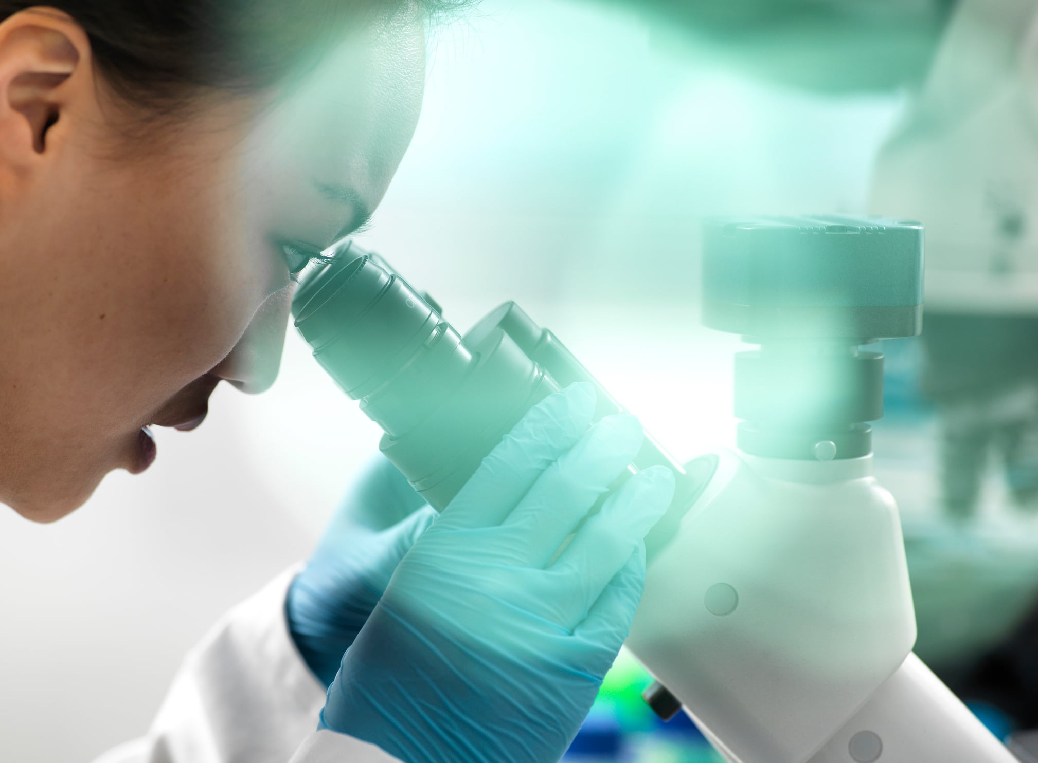 Estée Lauder funds MIT research on biodegradable beauty materials