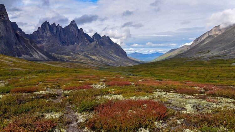 Yukon Soaps Company and Cheekbone Beauty secure grant funding from the Indigenous Innovation Initiative