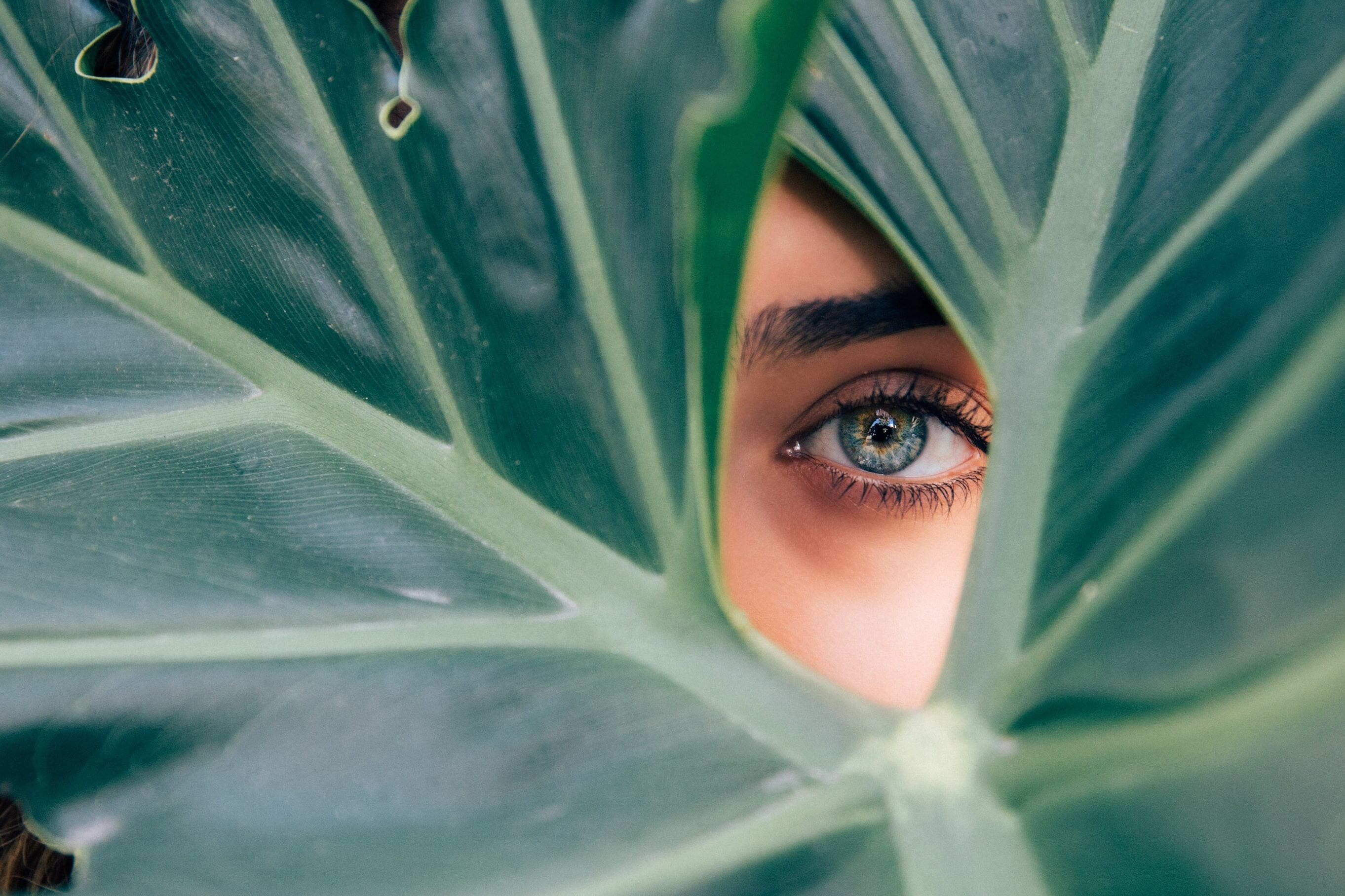 15 key stats from AI study on sustainability on beauty social media accounts