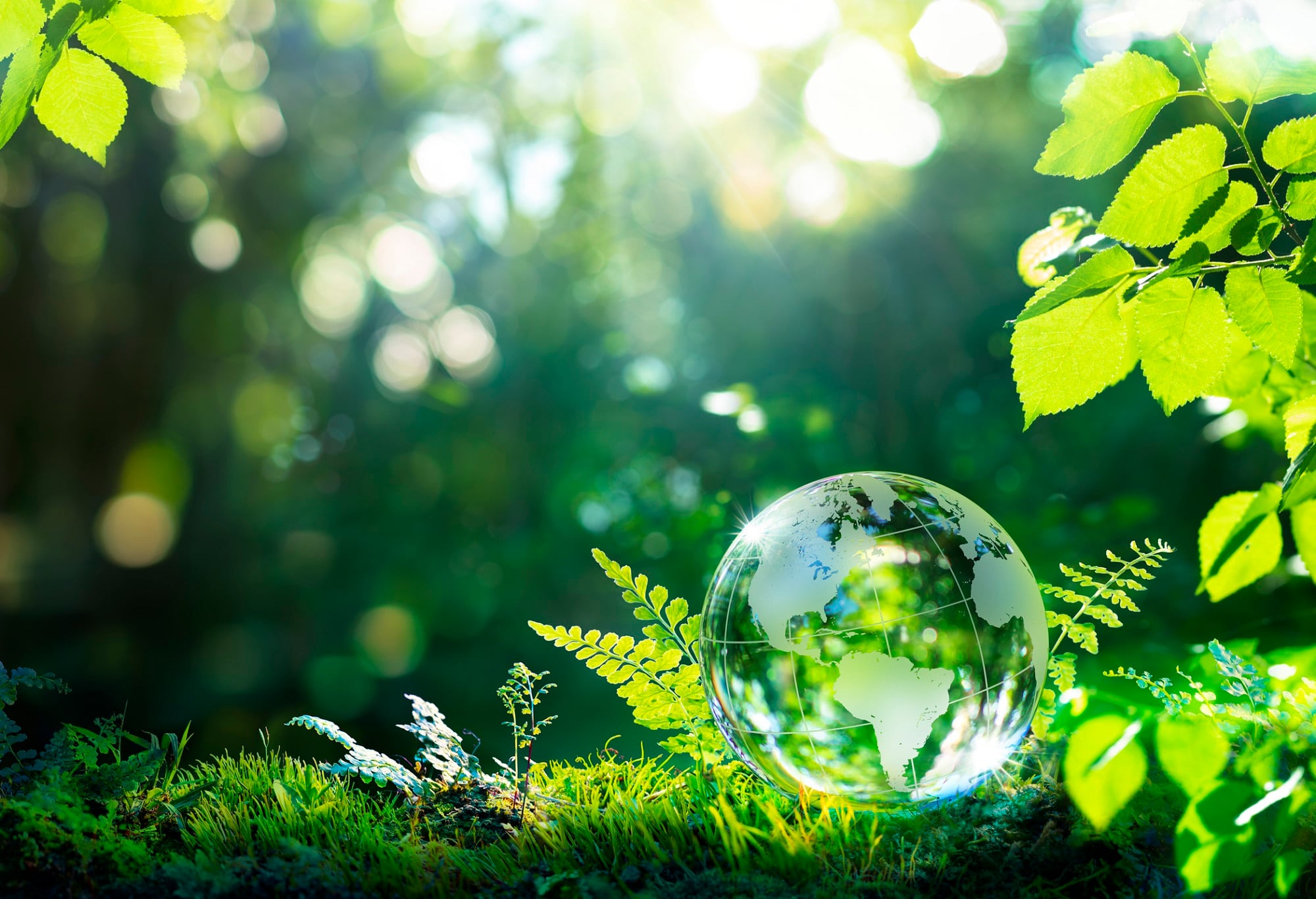 Sustainable Cosmetics Summit Latin America returns following five-year hiatus