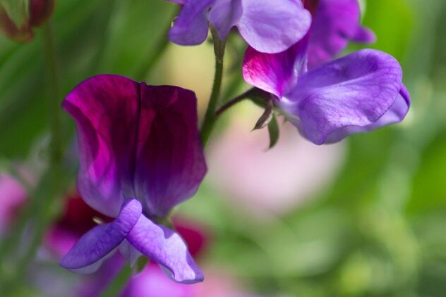 This-Month-in-Fragrance-April-2019.jpg