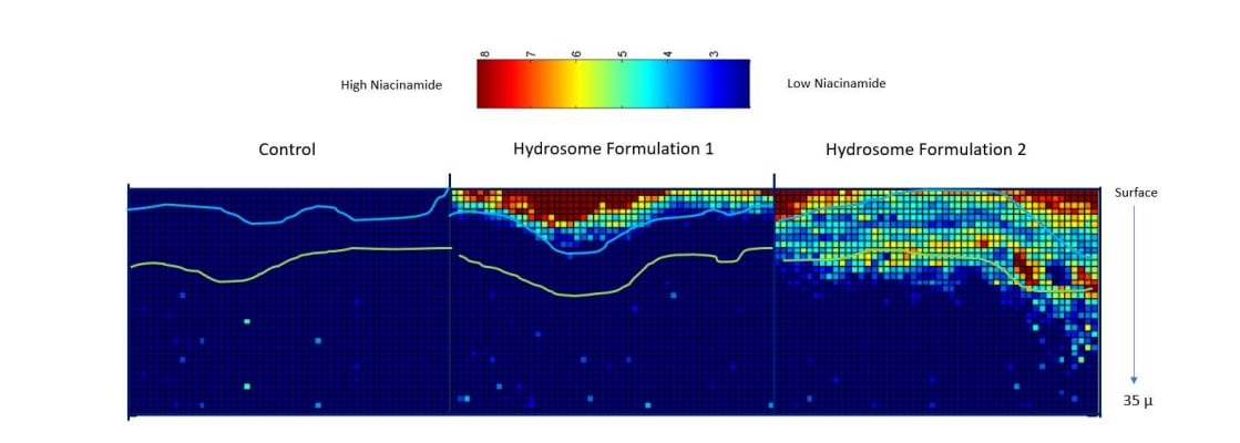 Hydrosome Labs formulation niacinamide