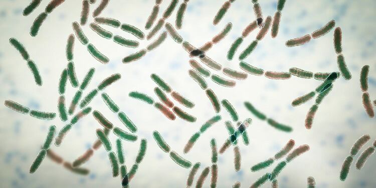 5 ways indie brands are approaching microbiome beauty