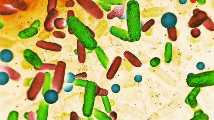 Lactobio-on-how-the-skin-microbiome-could-revolutionize-our-approach-to-skin-care.jpg