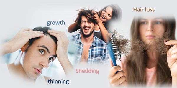 Multimedia-Image-1.png