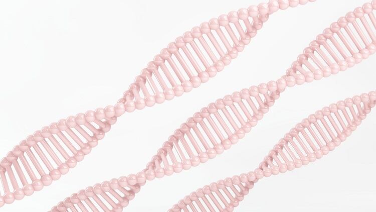 Amyris to launch Clean Beauty Collaborative