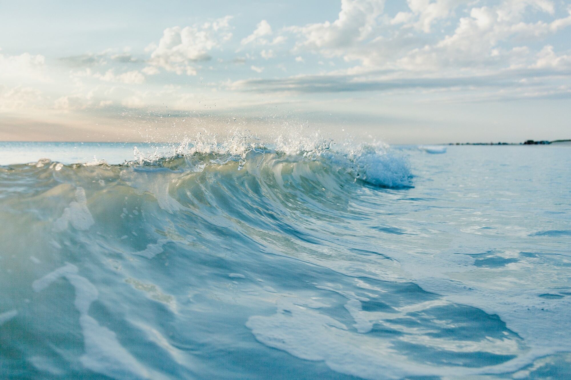 Q&A: Herbalist indie brand founder shares insight into marine ingredient product formulations