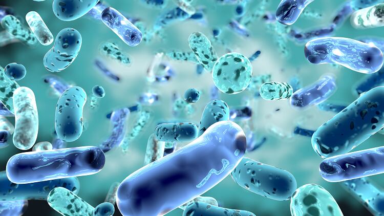 Alive Inside: encapsulated probiotics from Dakota Biotech feature in Live P.S. skin care launch