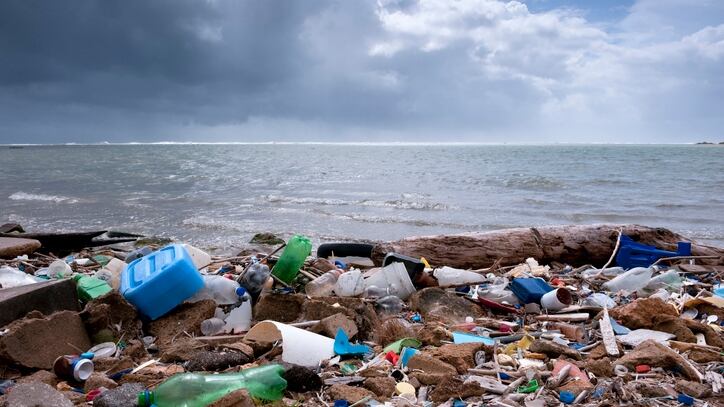 Greenpeace-plastic-circularity-and-beauty-and-personal-care.jpg