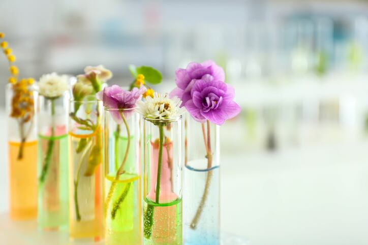 DSM: Biotech will play a ‘much larger role’ in the future of beauty
