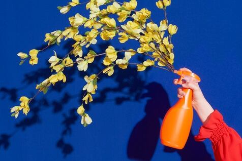 How a fragrance leader says brands can work towards UN SDGs