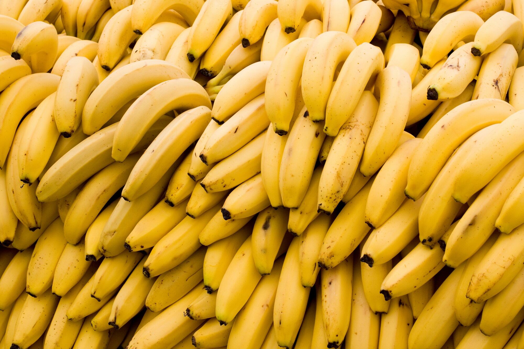 Yucca, taro, and banana fruit agro-waste share upcycling potential for bioplastic cosmetic packaging 