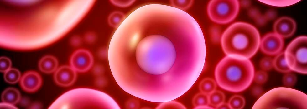 Prevention-and-repair-skin-photoaging-caused-by-UV-and-IR-radiation.jpg
