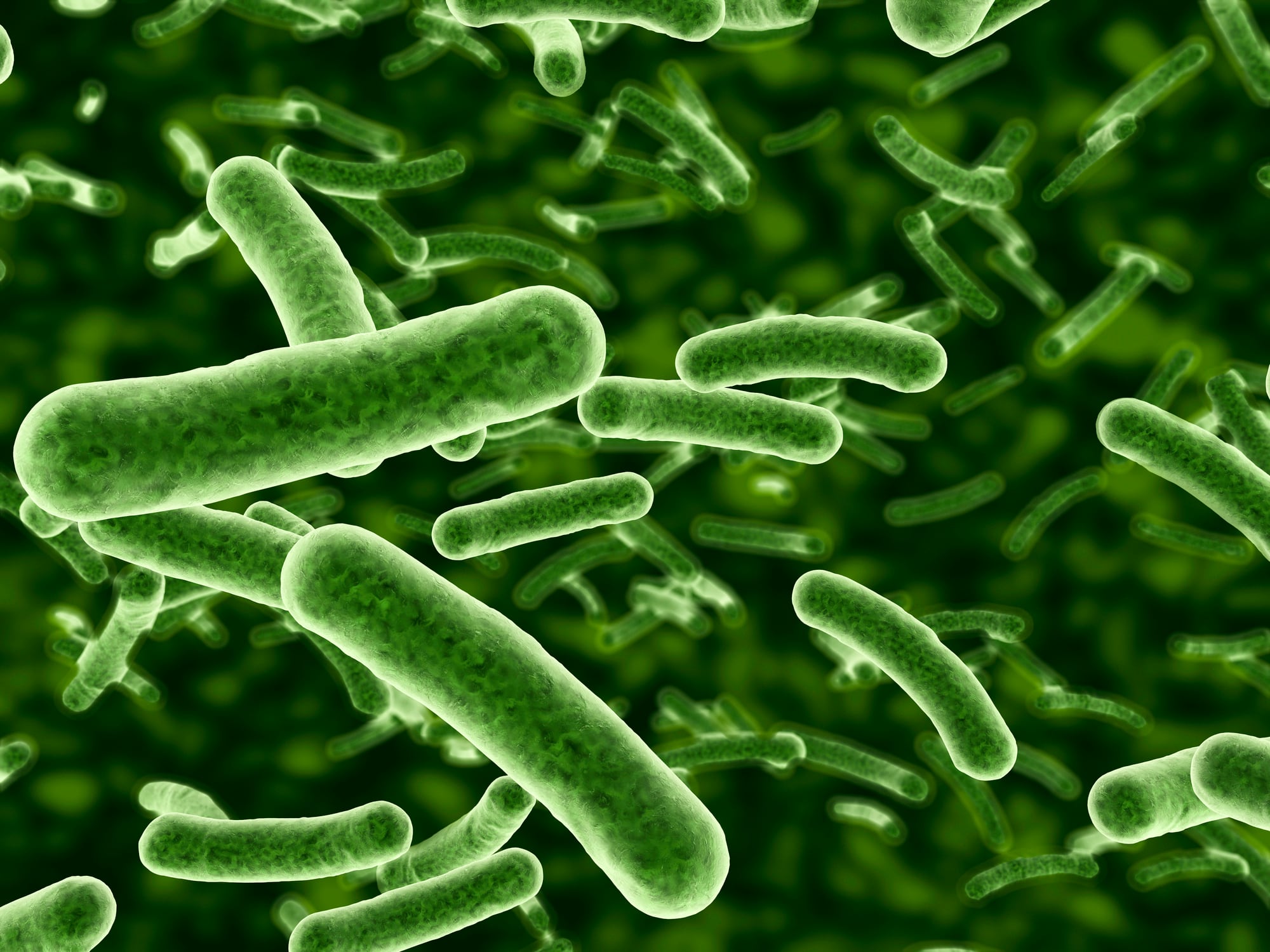 Researchers successfully test novel microbiome-based topical drug delivery platform
