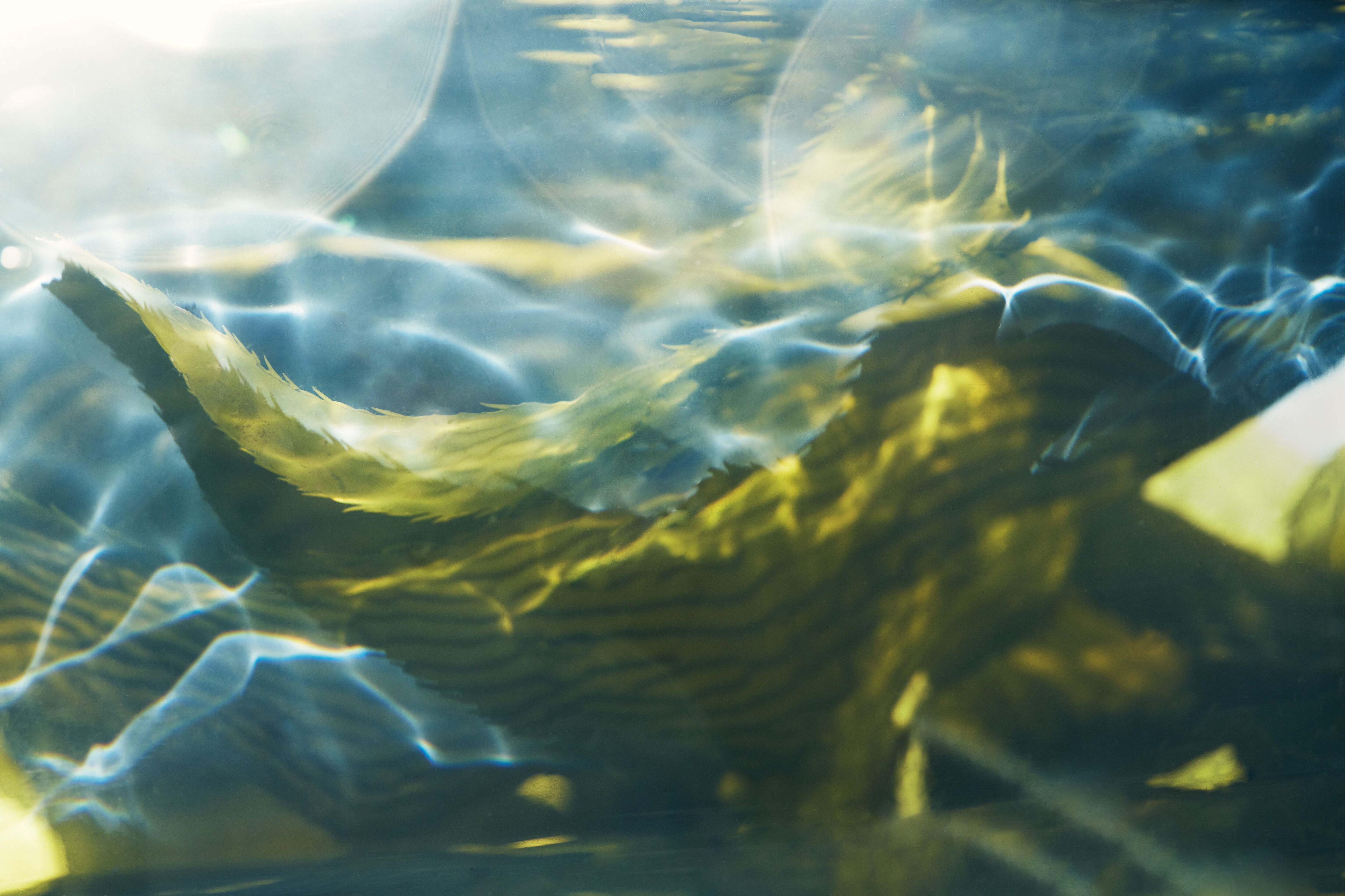 La Mer partners Salk Institute to advance research in cellular energy, inform future NPD