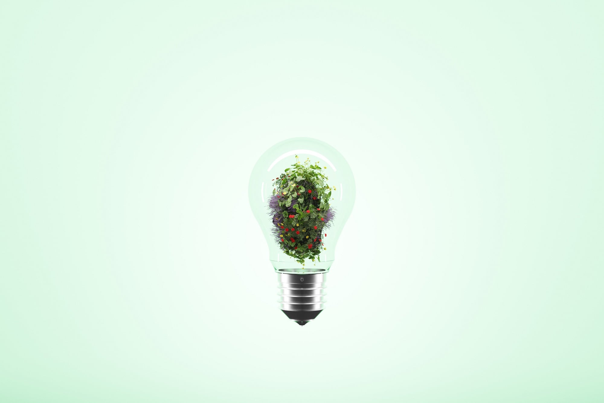 Edgewell Personal Care showcases notable progress in 2023 Sustainability Report