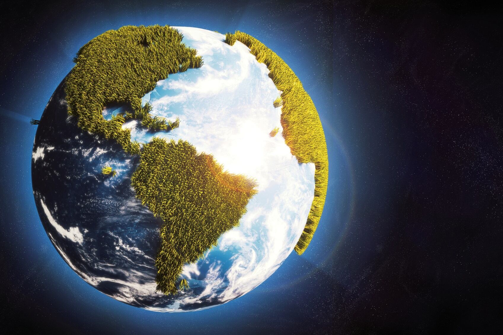 Understanding the Business and Ecosystem Value of Biodiversity
