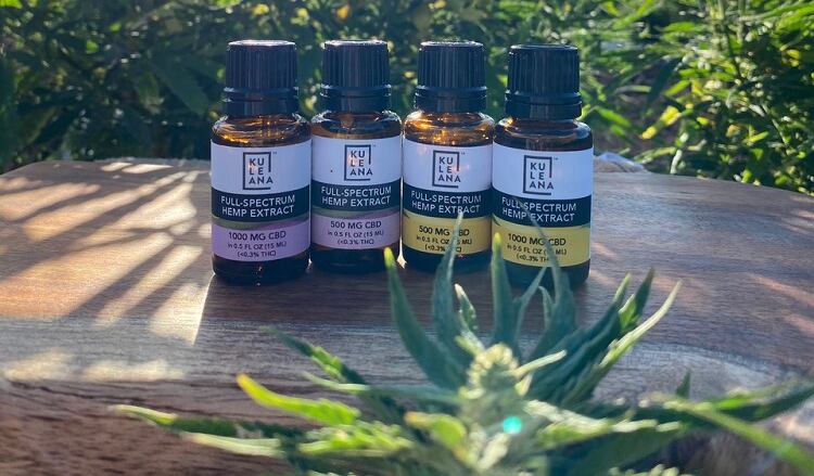 Beauty industry supplier Oh, Oh Organics adds CBD to ingredient portfolio
