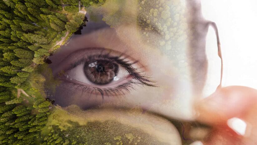 Catching up with beauty-from-within supplements: A round-up of the latest science