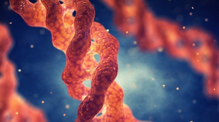 Evonik has developed vegan biotech collagen