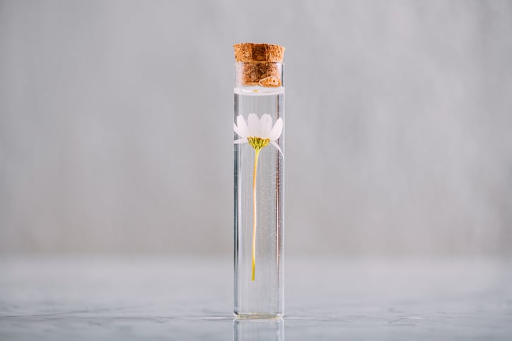 Going greener: The Body Shop investing in ‘regenerative’ supply chain innovation
