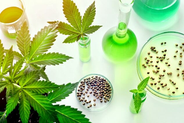 New Gelest research shows how CBD can be used in silicone-based skin care formulations