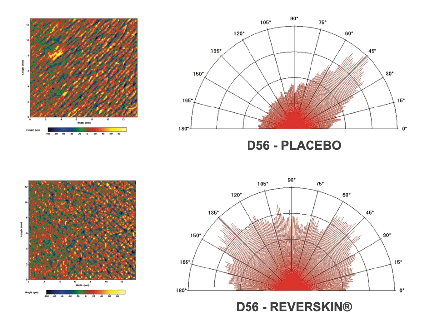 Figure3-Reverskin-Isotropy.png