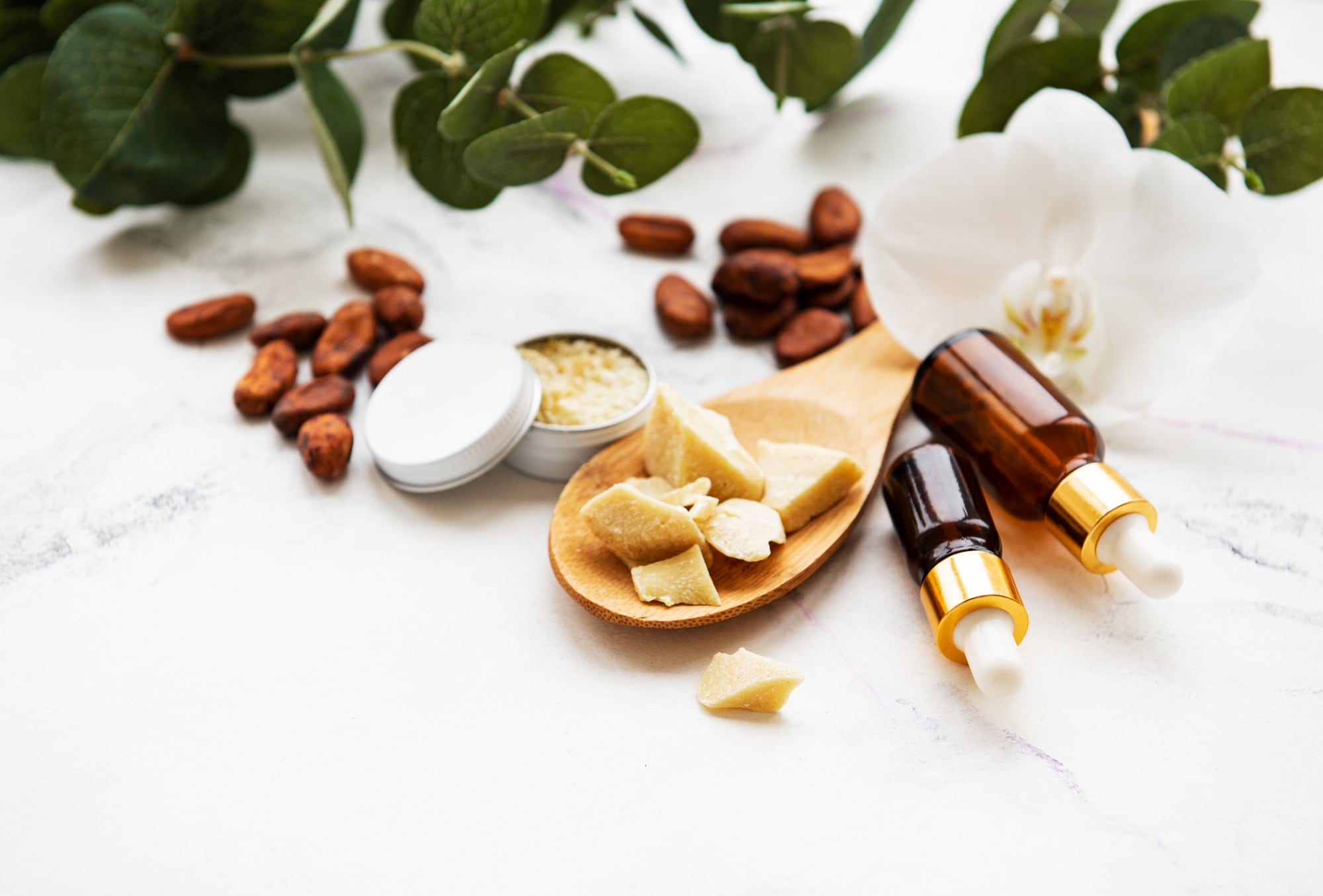 Best-extraction-techniques-for-white-cocoa-can-aid-in-sustainability.jpg