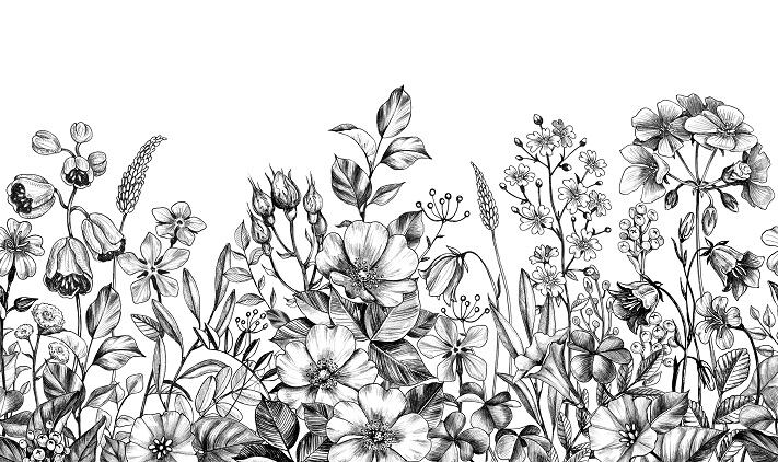 Still room for innovation in natural cosmetics and personal care ingredients