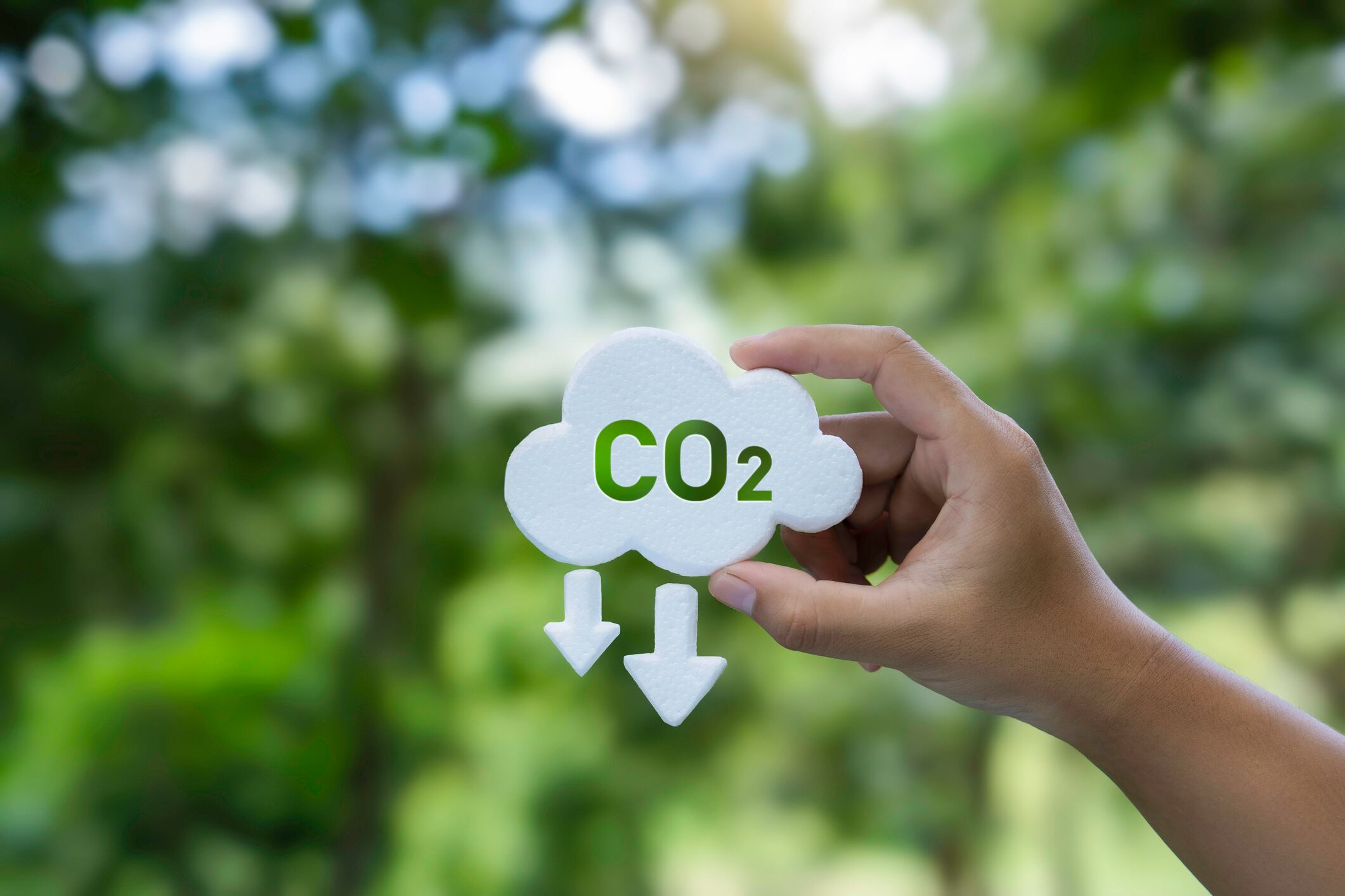 Bright future: How CarbonFree’s endurocal can help cosmetics brands cut Scope 3 emissions
