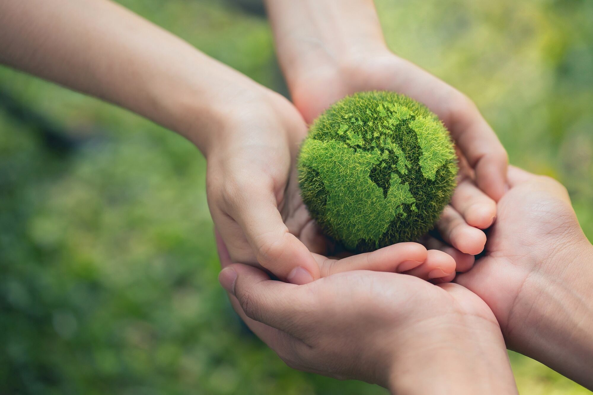 Sustainability takes center stage: a glimpse into the future of cosmetics