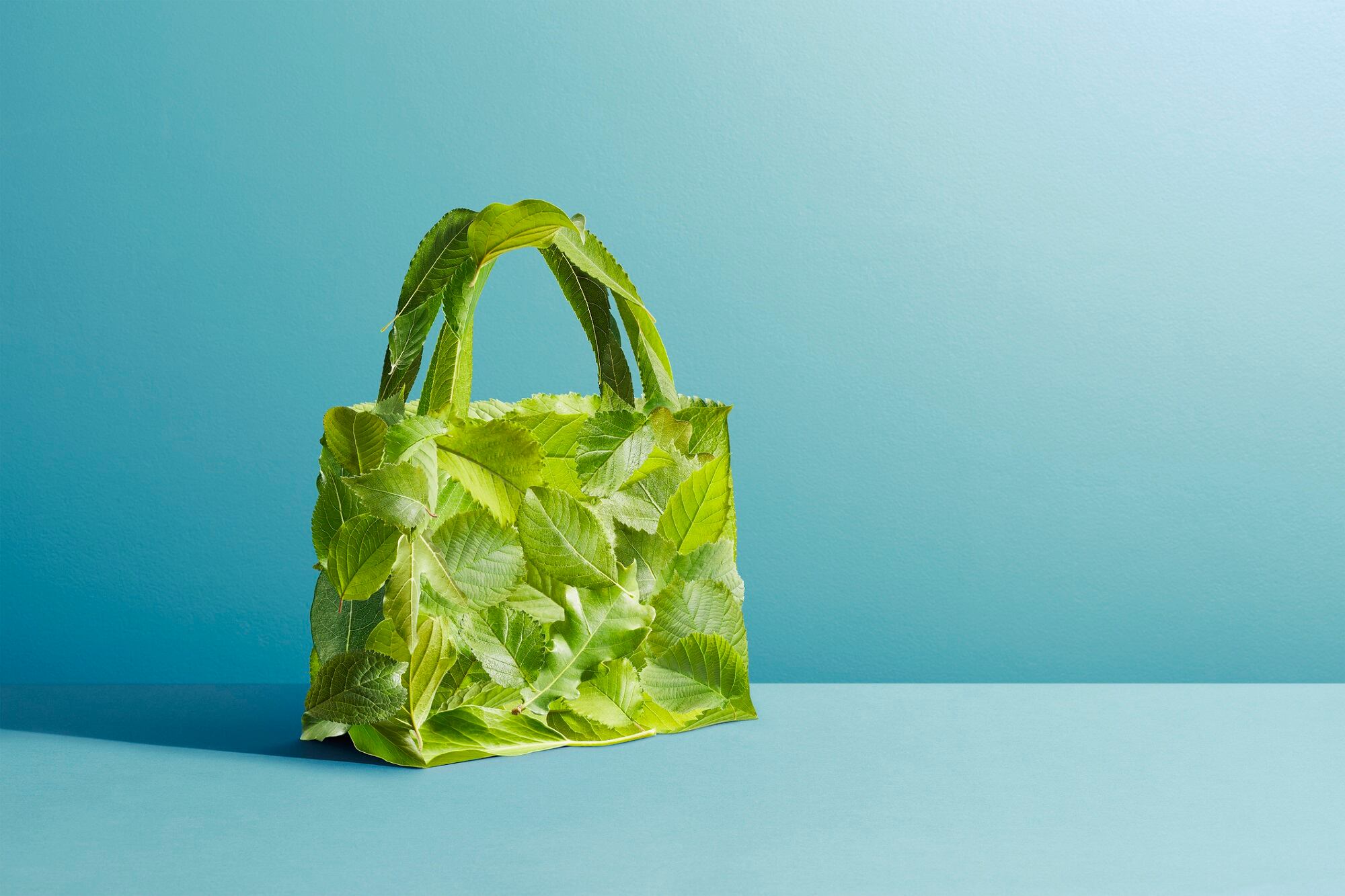 Canadian Shoppers Drug Mart launches free recycling program for its private-label cosmetics line