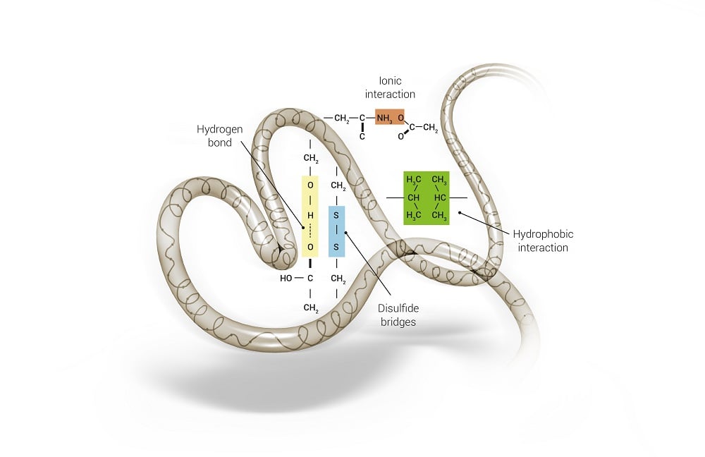 Figure_2_Allinea.jpg