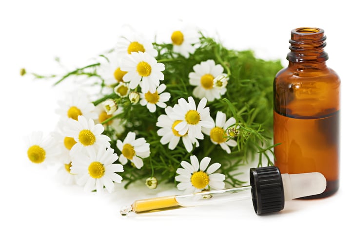 Extracts against eczema: Three botanicals with atopic dermatitis fighting potential