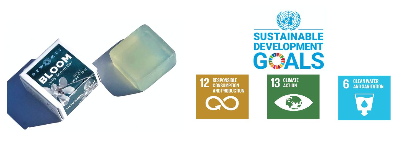 Sustainability_Waterless_Water_SDG_Dandi_Day.png