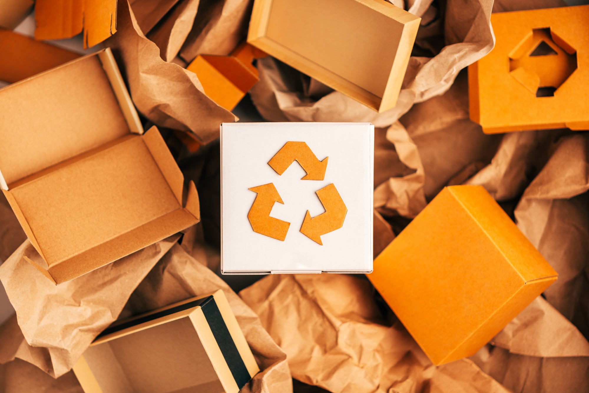 The true impact of virgin paper: Rethinking sustainable packaging for beauty brands