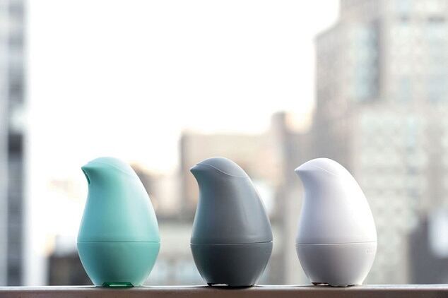 Personal care startup OLIKA hires CEO