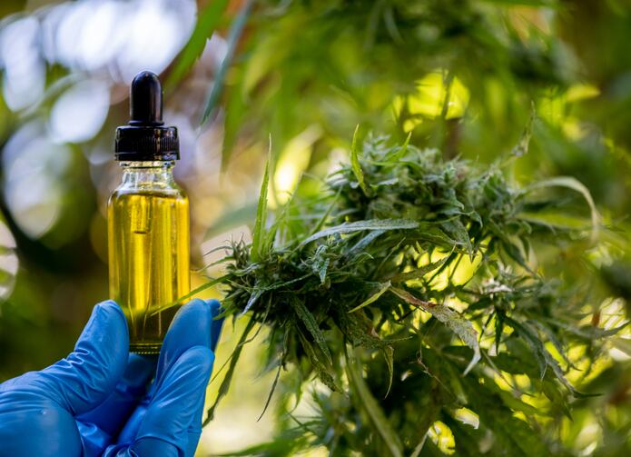 CBD-cannabis-cosmetics-supplements-firm-scores-important-Colombian-license.jpg