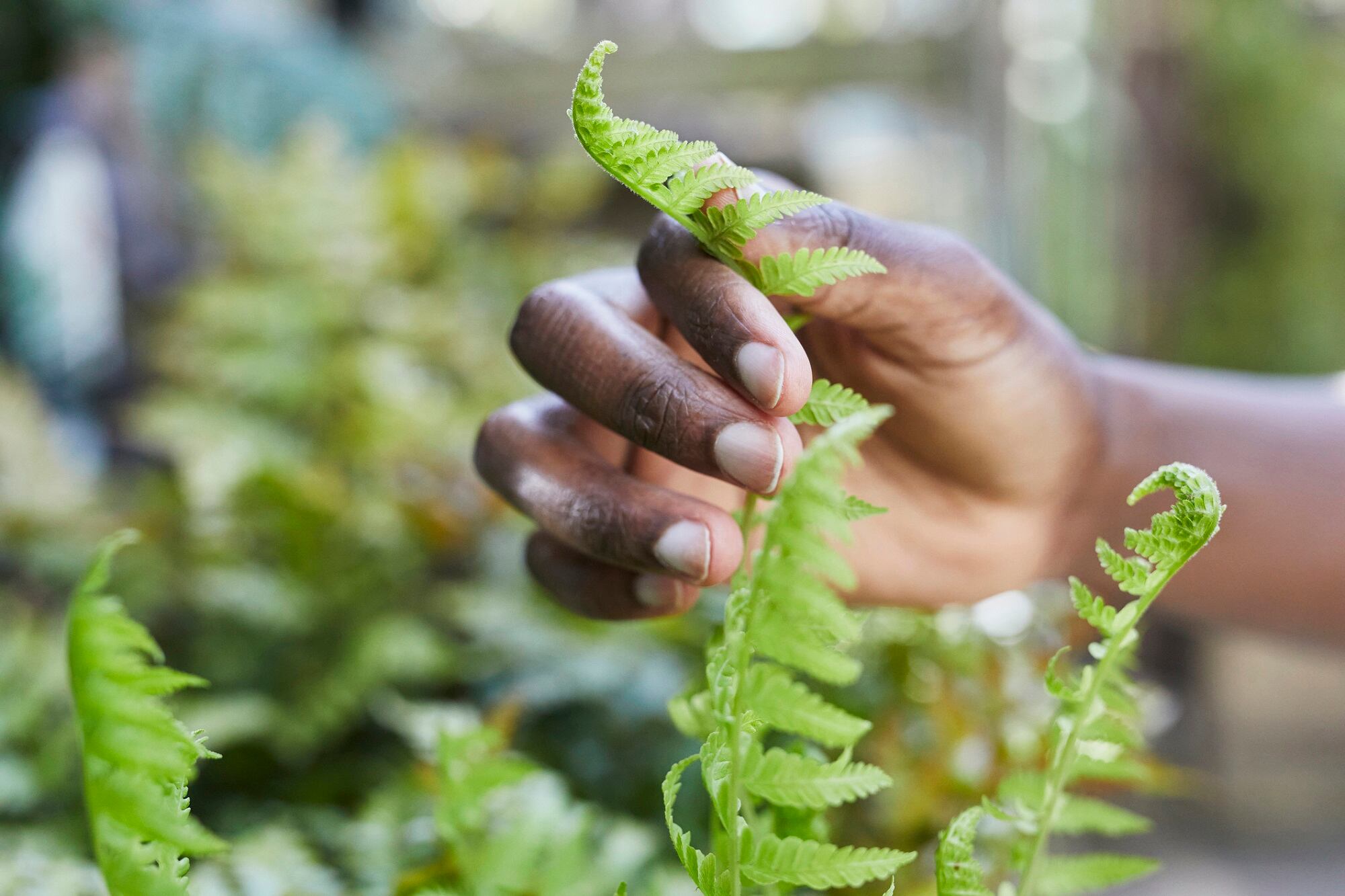 Q&A: Navigating environmental risks and market shifts in the cosmetics industry