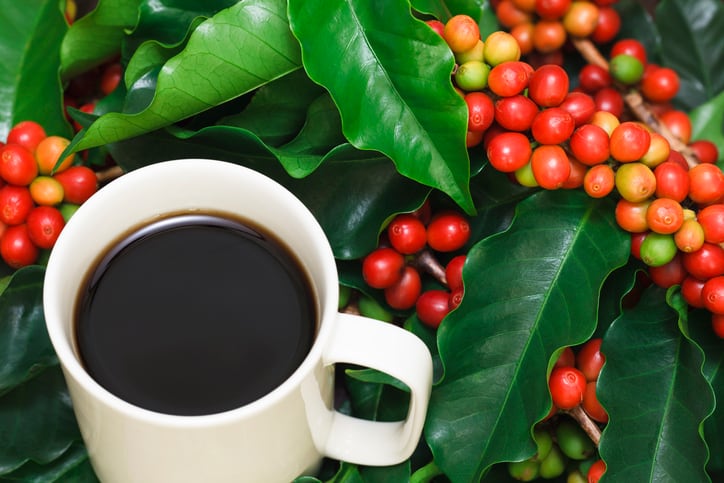 Coffee-cherry-upcycled-ingredient.jpg