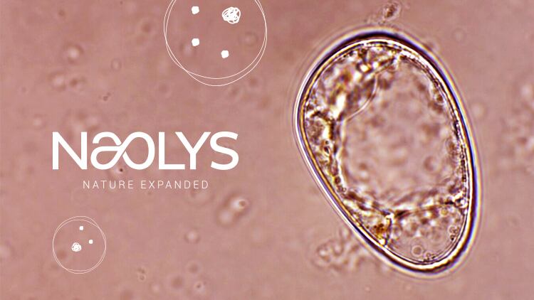 Exosomes-Passing-Trend-or-Transformative-Reality.jpg