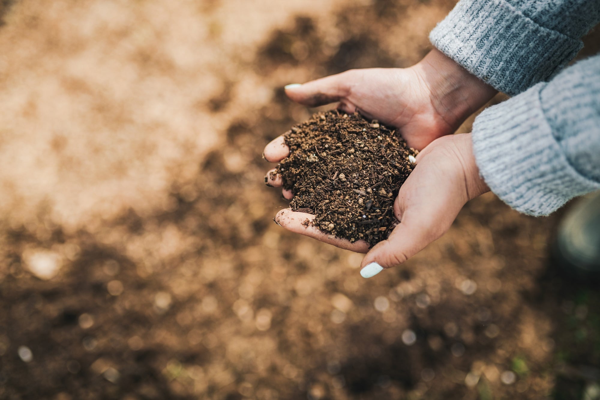 Rising demand for sustainable cosmetics spurs biodegradability testing protocol research