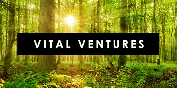 Vital-Ventures-Image.jpg