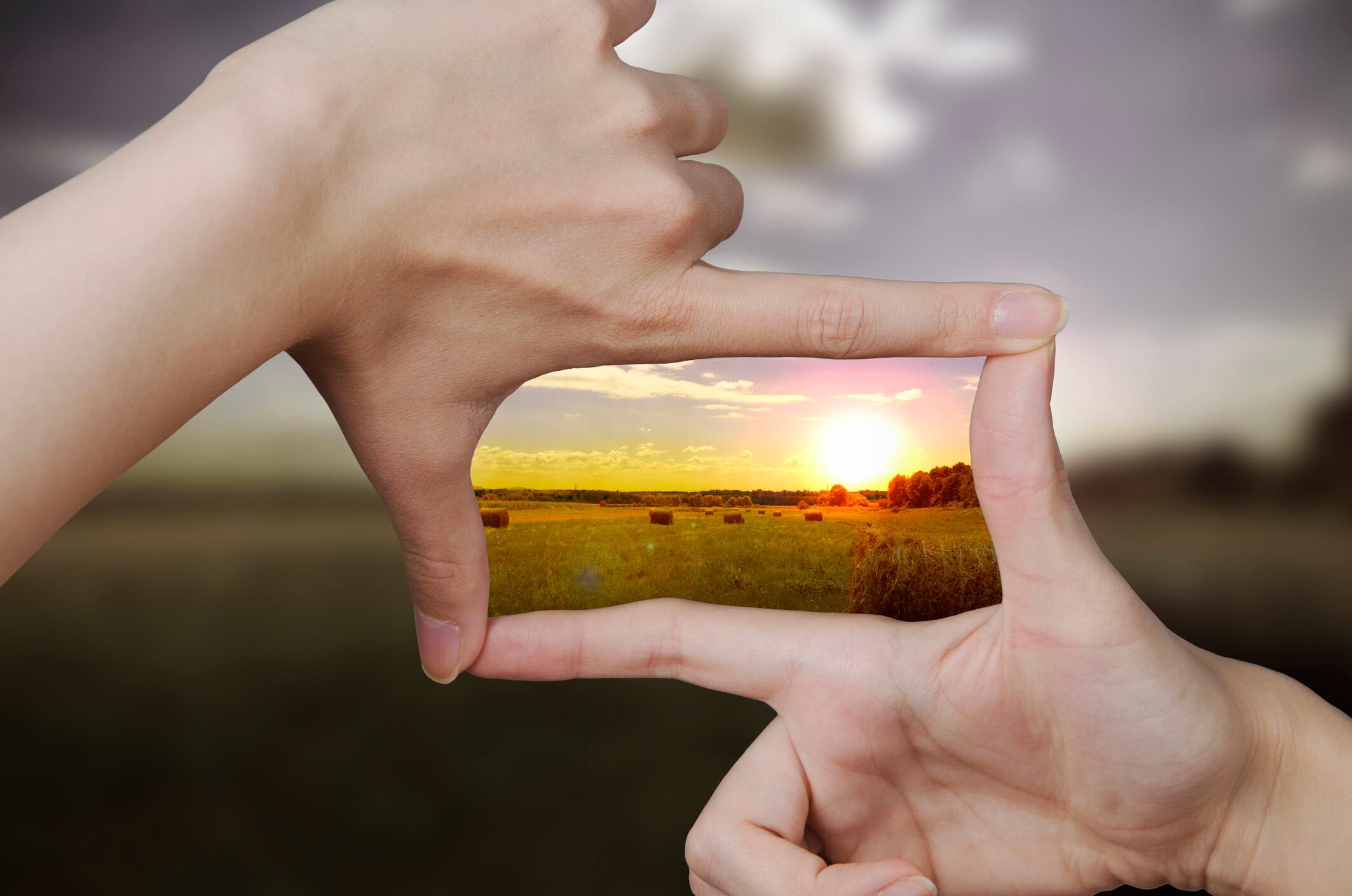 Novi-receives-10.3-million-to-develop-beauty-transparency-and-sustainability.jpg