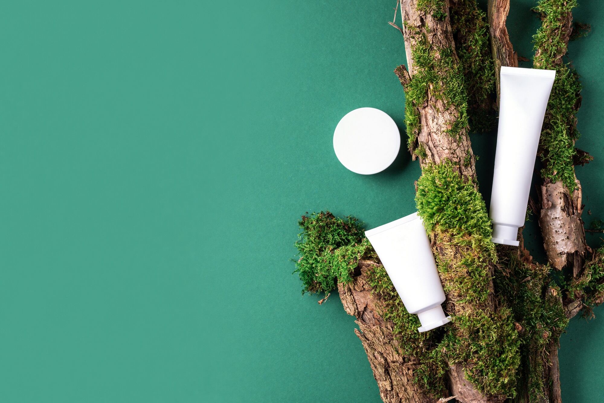 Sustainability-in-focus-What-to-expect-at-the-2024-Sustainable-Cosmetics-Summit-European-edition.jpg